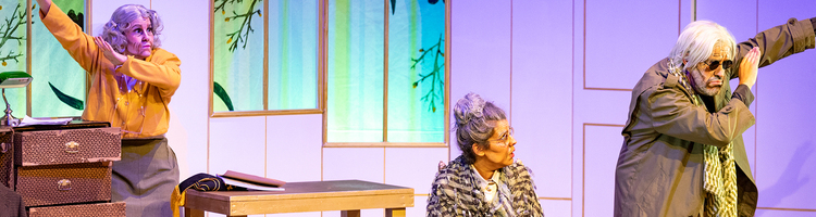 GALEATRO + XAROPE TULU + CDG + FUNDACIÓN MANUEL MARÍA + FOIT CARBALLO: <EM>Berenguela na gaiola</em>