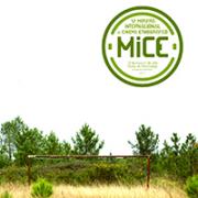 Cartaz do XII MICE