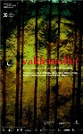 Cartel Valdemuller - 2008